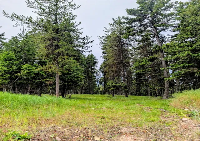 5th image of 304 Seclusion Pt, Seeley Lake, MT 59868 | MLS# 30073905