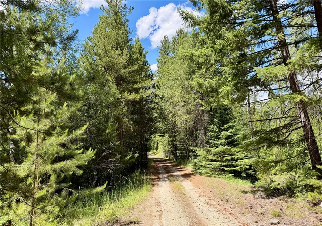 85th image of 2133 Lost Horse Trl, Hamilton, MT 59840 | MLS# 30073241
