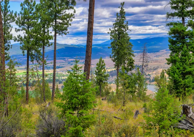 Photo 1 of Land for sale at Lots 20 & 23 Bighorn Blf Rd, Plains, MT 59859 | MLS# 30073689 | Listing updated on 2026-07-01