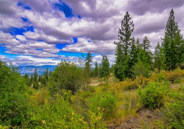 Photo 2 of Land for sale at Lots 20 & 23 Bighorn Blf Rd, Plains, MT 59859 | MLS# 30073689 | Listing updated on 2026-07-01