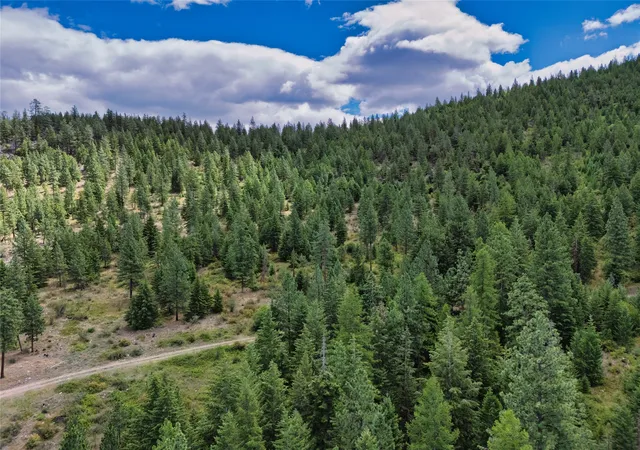 Homes for sale in Plains, MT | Lot 29 Bighorn Bluff Loop, Plains, MT 59859 | MLS# 30073547