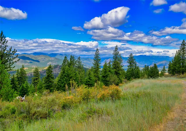 Homes for sale in Plains, MT | Lot 6 Bighorn Bluff Rd, Plains, MT 59859 | MLS# 30073540