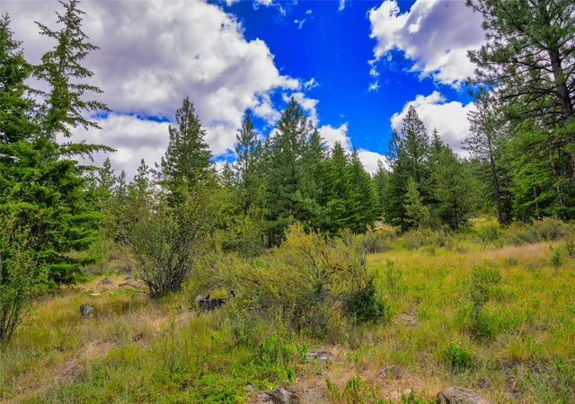 Homes for sale in Plains, MT | Lot 6 Bighorn Bluff Rd, Plains, MT 59859 | MLS# 30073540