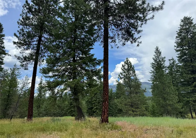 Homes for sale in Thompson Falls, MT | Lot 7 Mossy Rock Court, Thompson Falls, MT 59873 | MLS# 30073659