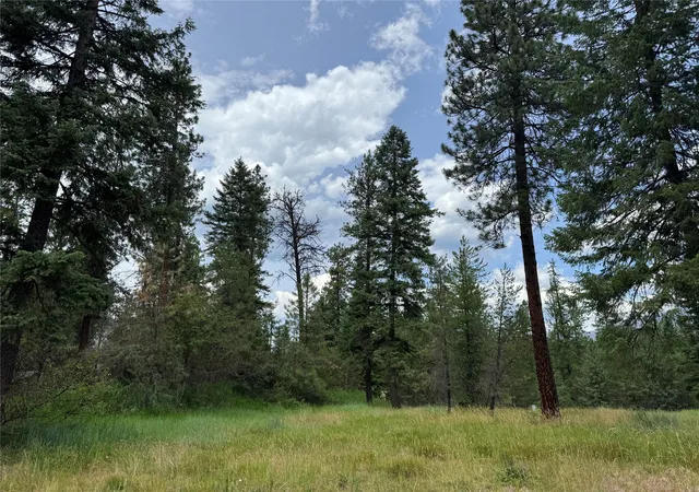 Homes for sale in Thompson Falls, MT | Lot 7 Mossy Rock Court, Thompson Falls, MT 59873 | MLS# 30073659
