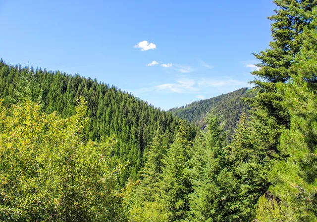 Photo 1 of Land for sale at Tract 1 Pardee Flt Rd, Superior, MT 59872 | MLS# 30074041 | Listing updated on 2026-07-01