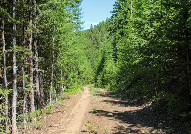 Photo 2 of Land for sale at Tract 1 Pardee Flt Rd, Superior, MT 59872 | MLS# 30074041 | Listing updated on 2026-07-01