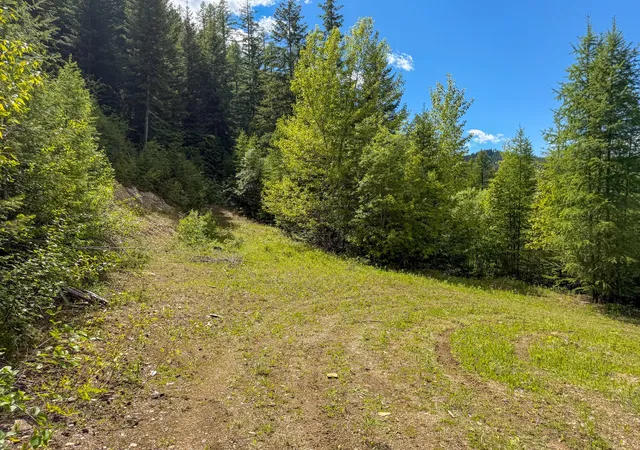 Photo 3 of Land for sale at Tract 1 Pardee Flt Rd, Superior, MT 59872 | MLS# 30074041 | Listing updated on 2026-07-01