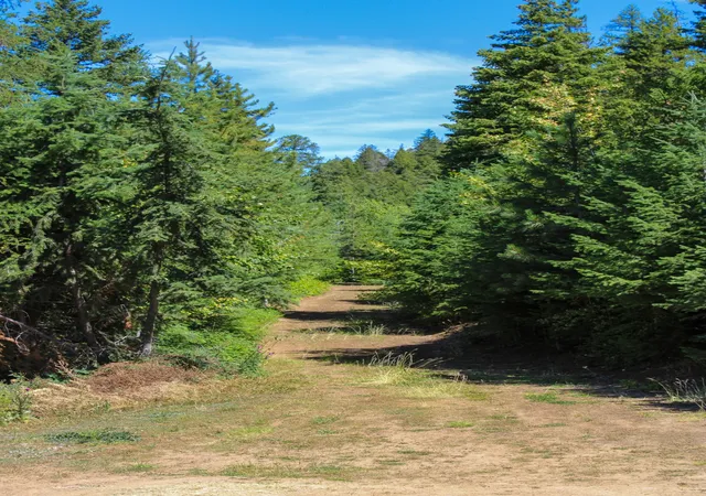 Photo 4 of Land for sale at Tract 1 Pardee Flt Rd, Superior, MT 59872 | MLS# 30074041 | Listing updated on 2026-07-01