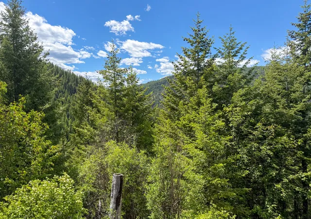 Photo 5 of Land for sale at Tract 1 Pardee Flt Rd, Superior, MT 59872 | MLS# 30074041 | Listing updated on 2026-07-01