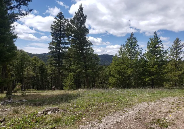 Homes for sale in Helmville, MT | 513 Spruce Gulch Rd, Helmville, MT 59843 | MLS# 30074049