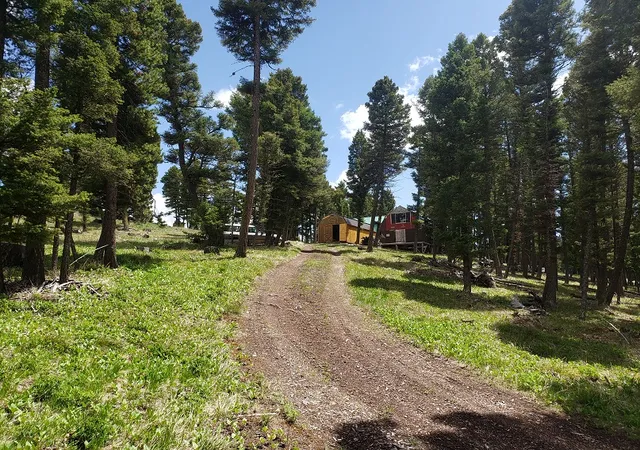 Homes for sale in Helmville, MT | 513 Spruce Gulch Rd, Helmville, MT 59843 | MLS# 30074049