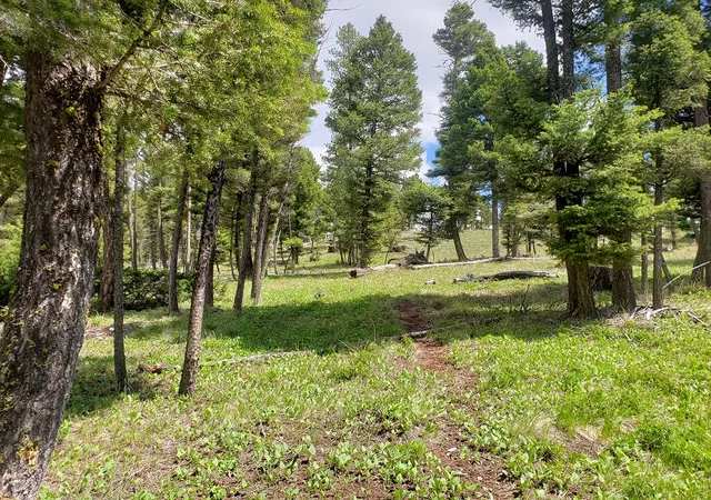 Homes for sale in Helmville, MT | 513 Spruce Gulch Rd, Helmville, MT 59843 | MLS# 30074049
