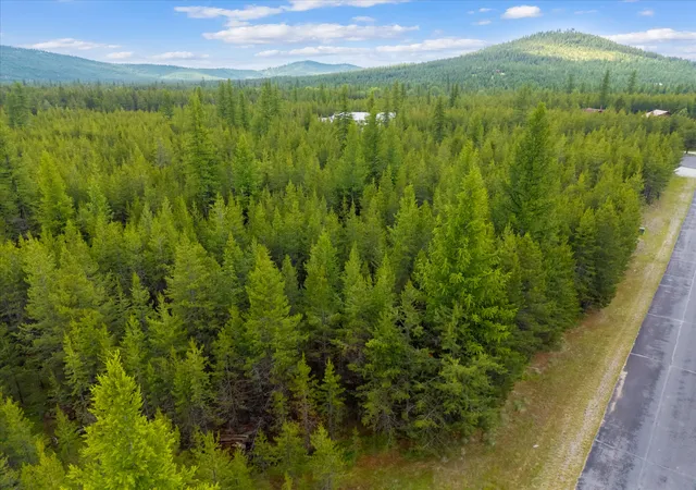 23rd image of 52 C W Mitchell Ct, Marion, MT 59925 | MLS# 30073974