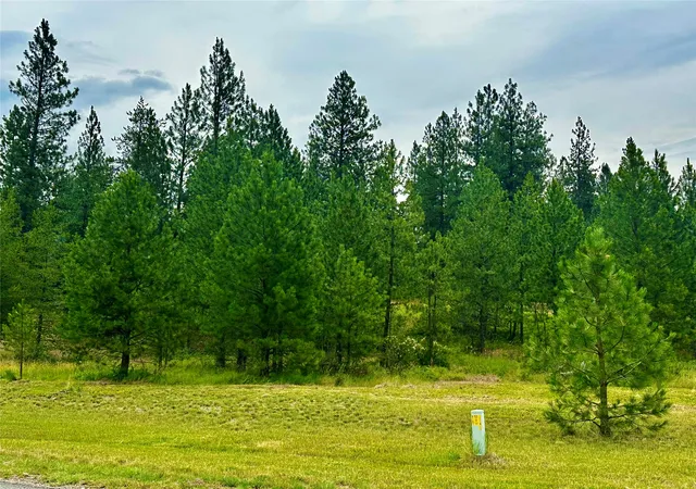 Homes for sale in Plains, MT | Nhn Mahonia Rd, Plains, MT 59859 | MLS# 30074032