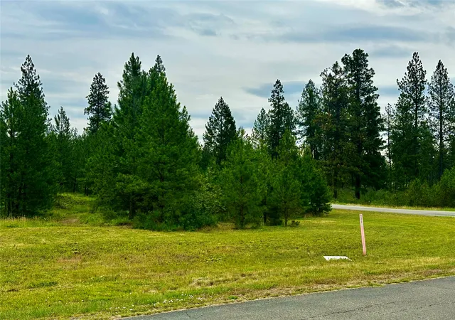 Homes for sale in Plains, MT | Nhn Mahonia Rd, Plains, MT 59859 | MLS# 30074032