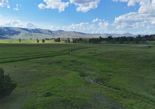 Homes for sale in Philipsburg, MT | 41 Handlos Ln, Philipsburg, MT 59858 | MLS# 30074097