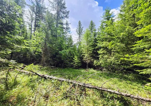 4th image of 13727 Big Hawk Dr, Bigfork, MT 59911 | MLS# 30074171