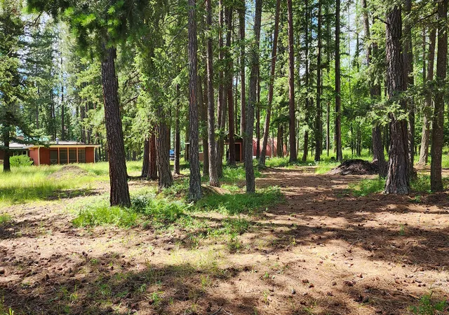 image of 12396 Rippling Waters Rd, Bigfork, MT 59911 | MLS# 30074202
