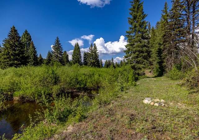 Homes for sale in Trego, MT | Nhn Fortine Creek Rd 22 Acres, Trego, MT 59934 | MLS# 30074335
