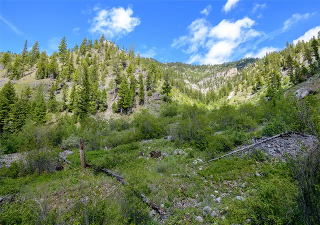 Homes for sale in Clinton, MT | 15520 Dry Gulch Rd, Clinton, MT 59825 | MLS# 30073980