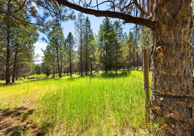 1st image of 9295 Lost Prairie Rd, Marion, MT 59925 | MLS# 30074235