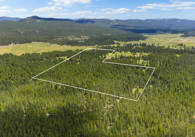 2nd image of 9295 Lost Prairie Rd, Marion, MT 59925 | MLS# 30074235
