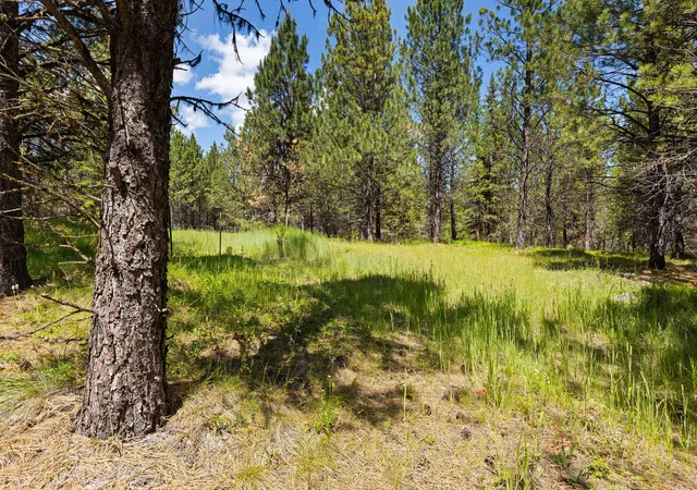 Photo 3 of Land for sale at 9295 Lost Prairie Rd, Marion, MT 59925 | MLS# 30074235 | Listing updated on 2026-07-09