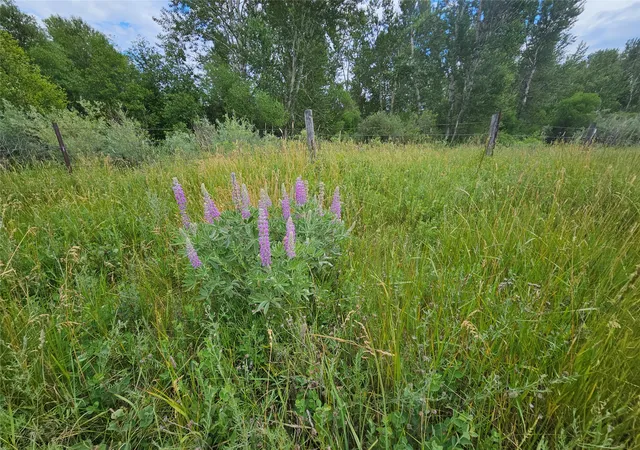25th image of 4182 Stevensville River Rd, Stevensville, MT 59870 | MLS# 30074306