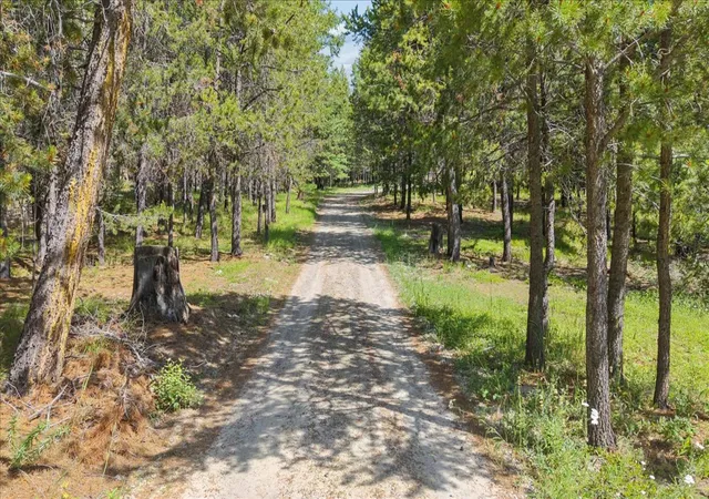 3rd image of 187 Bear Cat Trl, Marion, MT 59925 | MLS# 30074459