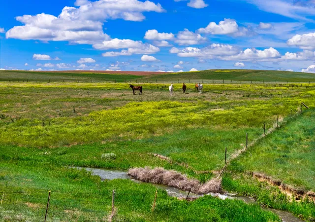 Photo 4 of Land for sale at Lot 4 13th Lane NE, Power, MT 59468 | MLS# 30074352 | Listing updated on 2026-07-08