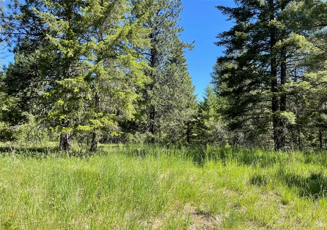Photo 10 of Land for sale at Nhn S Shore Dr, Trout Creek, MT 59874 | MLS# 30074496 | Listing updated on 2026-07-08