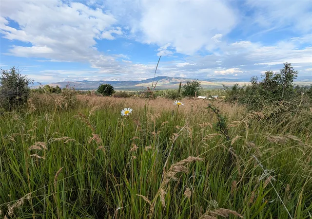 1st image of Nhn W Carlton Creek Rd, Florence, MT 59833 | MLS# 30074519