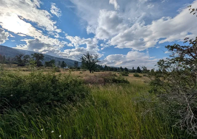 3rd image of Nhn W Carlton Creek Rd, Florence, MT 59833 | MLS# 30074519