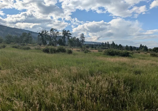 5th image of Nhn W Carlton Creek Rd, Florence, MT 59833 | MLS# 30074519