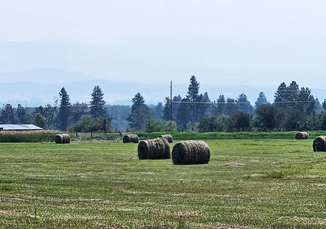 39th image of Nhn Mittower Rd, Victor, MT 59875 | MLS# 30074492