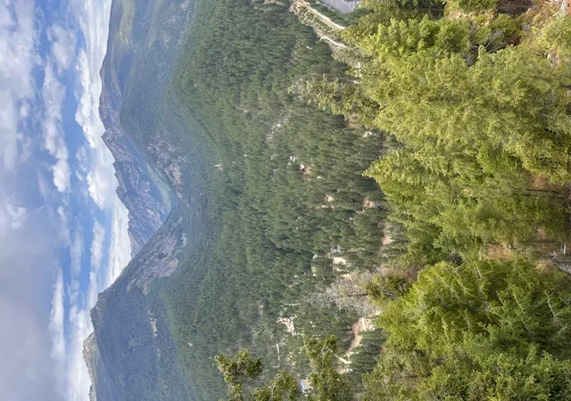 4th image of 695 Steep Creek Rd, Darby, MT 59829 | MLS# 30074574