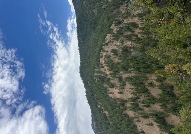 68th image of 695 Steep Creek Rd, Darby, MT 59829 | MLS# 30074574