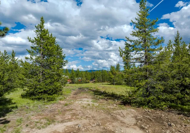 43rd image of 18 Gunsite Ct, Marion, MT 59925 | MLS# 30074401