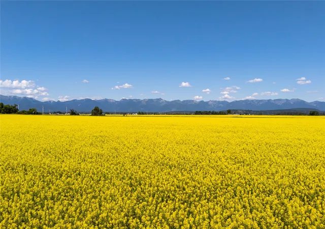1st image of 1000 Mt Hwy 82, Somers, MT 59932 | MLS# 30074522