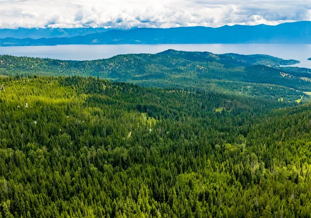 3rd image of Nhn Peach Park Loop, Rollins, MT 59931 | MLS# 30074455