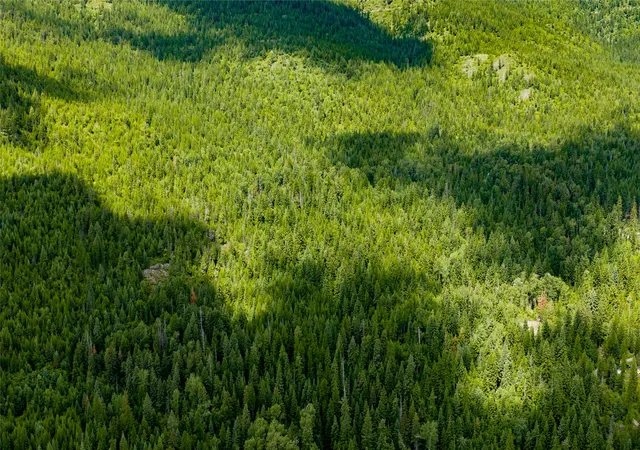 4th image of Nhn Peach Park Loop, Rollins, MT 59931 | MLS# 30074455