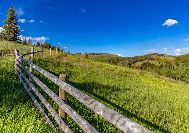 4th image of Nhn East Glacier Park, East Glacier Park, MT 59434 | MLS# 30073699