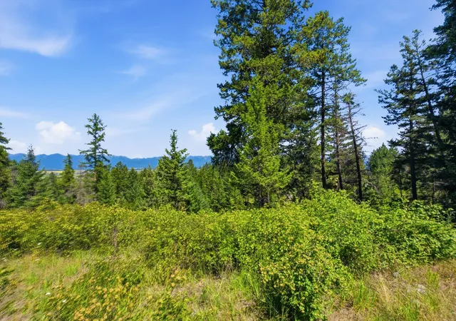 3rd image of 131 Valley Vista Dr, Somers, MT 59932 | MLS# 30074491