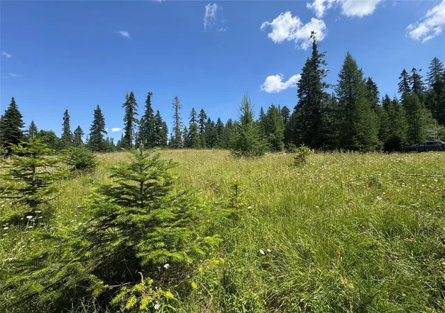 1st image of 13643 Sundance Trl, Bigfork, MT 59911 | MLS# 30074570