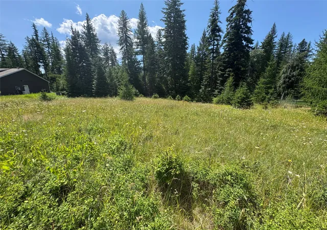 2nd image of 13643 Sundance Trl, Bigfork, MT 59911 | MLS# 30074570
