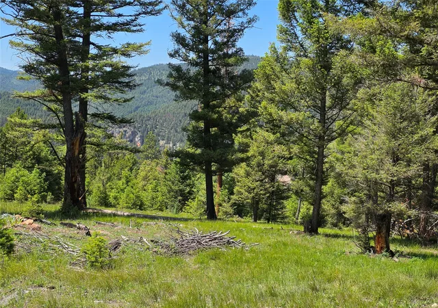 Homes for sale in Drummond, MT | 202 Packer Gulch Gulch, Drummond, MT 59832 | MLS# 30074724