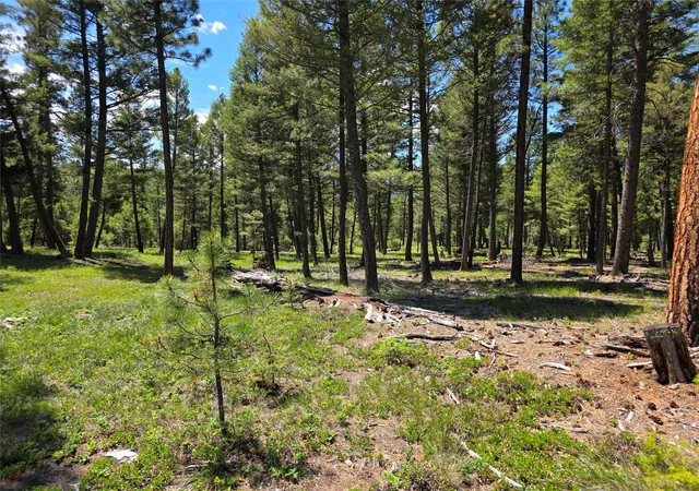 Homes for sale in Drummond, MT | 202 Packer Gulch Gulch, Drummond, MT 59832 | MLS# 30074724