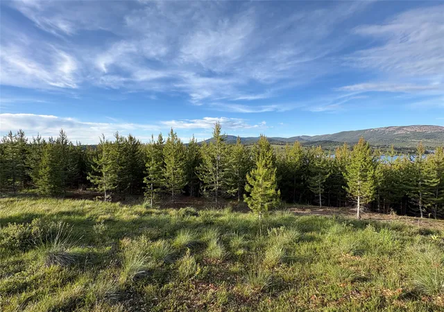 Homes for sale in Anaconda, MT | Nhn Renegade Rd, Anaconda, MT 59711 | MLS# 30074750