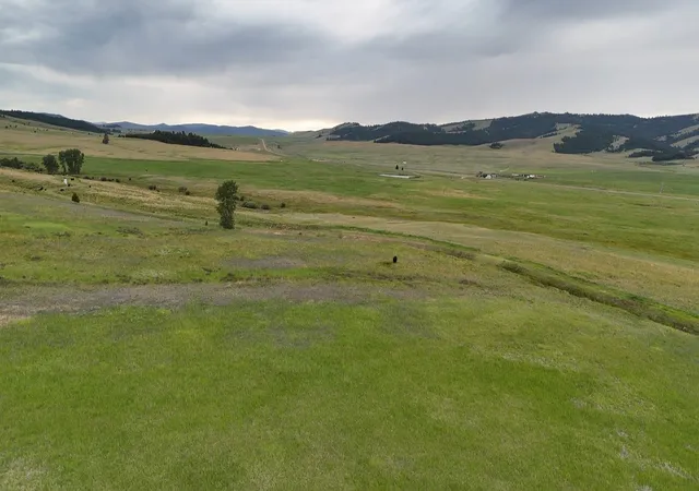 Homes for sale in Philipsburg, MT | Nhn Meadow View, Philipsburg, MT 59858 | MLS# 30074772